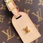 louis-vuitton-around-me-pm-monogram-canvas-handbags–M47117_PM2_Front_view