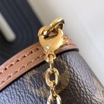 louis-vuitton-dauphine-chain-wallet-other-monogram-canvas-wallets-and-small-leather-goods–M68746_PM2_Front_view