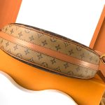 louis-vuitton-loop-hobo–M46311_PM2_Front_view