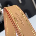 louis-vuitton-loop–M81098_PM2_Front_view