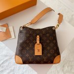 louis-vuitton-sac-odeon-pm–M45354_PM1_Look_view