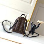 louis-vuitton-palm-springs-mini–M44873_PM2_Front_view