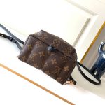 louis-vuitton-palm-springs-mini–M44873_PM2_Front_view