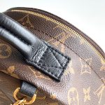 louis-vuitton-palm-springs-mini–M44873_PM2_Front_view