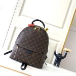 louis-vuitton-palm-springs-mm–M44874_PM2_Front_view