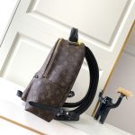 louis-vuitton-palm-springs-mm–M44874_PM2_Front_view