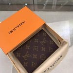 louis-vuitton-passport-cover–M64502_PM2_Front_view