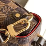 louis-vuitton-croisette–N53000_PM1_Cropped_worn_view