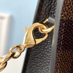 louis-vuitton-vavin-chain-wallet–N60221_PM1_Worn_view