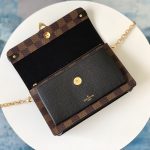 louis-vuitton-vavin-chain-wallet–N60221_PM1_Worn_view