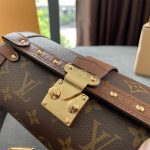 louis-vuitton-papillon-trunk–M57835_PM1_Worn_view