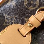 louis-vuitton-carryall-pm–M46203_PM2_Front_view (1)