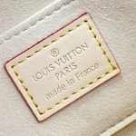 louis-vuitton-mini-dauphine–M24841_PM2_Front_view