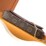 louis-vuitton-pochette-félicie-monogram-canvas-handbags–M81896_PM2_Front_view