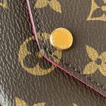 louis-vuitton-pochette-félicie-monogram-canvas-handbags–M81896_PM2_Front_view