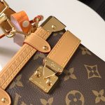 louis-vuitton-side-trunk-mm–M46358_PM2_Front_view