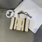 chloe-tote-small-1.jpg