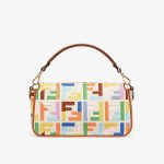 fendi-baguettebag-ffcanvas-multicolor-1.jpg