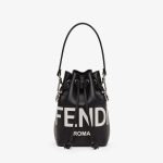 fendi-mini-montresorbucketbags-romacalf-blackwhite-1.jpg